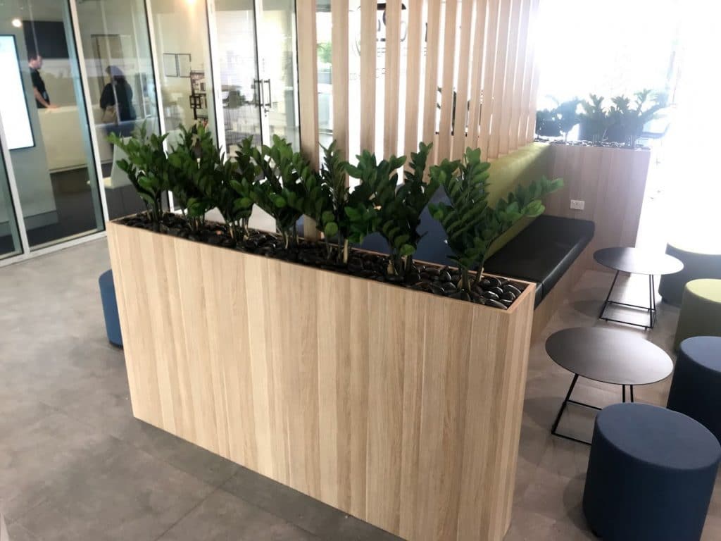 Why Office Designers Love Greenery | Modern Concepts Brisbane